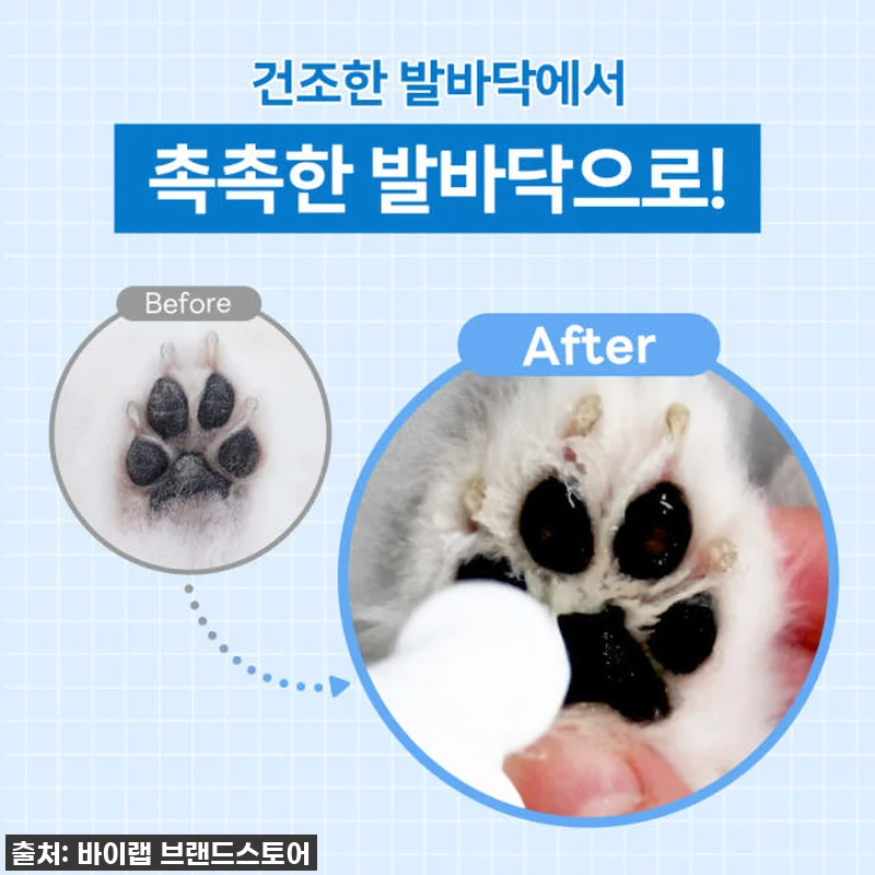 ✨ 품절임박! 우리 댕댕이 발바닥, 관련 이미지 1