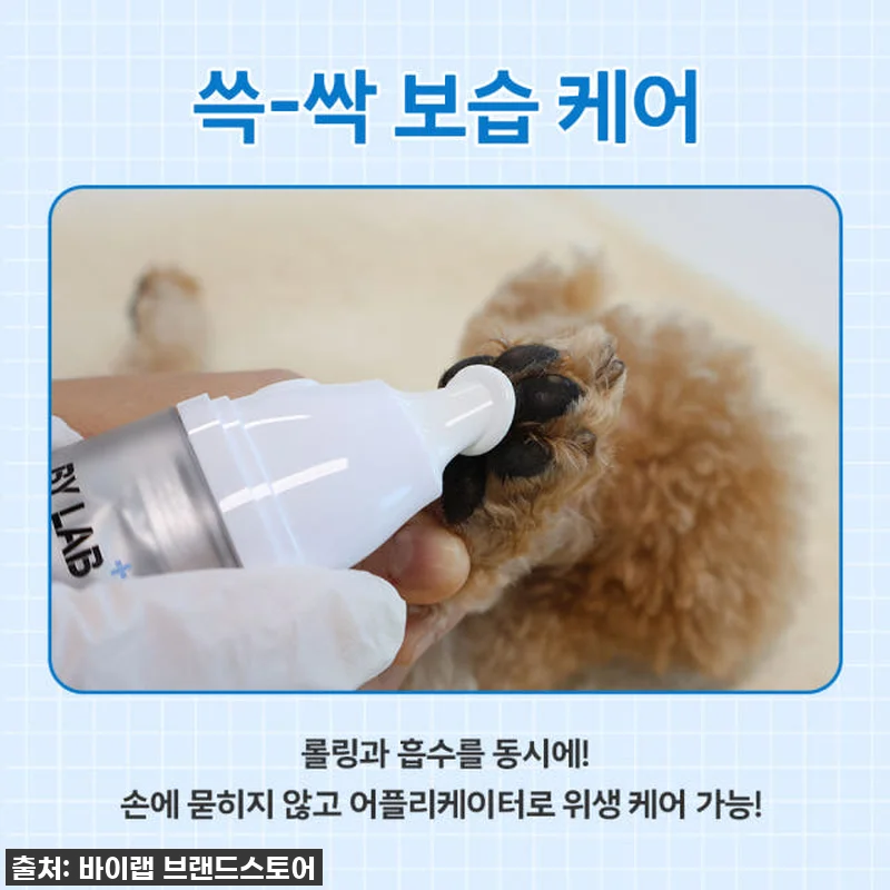 ✨ 품절임박! 우리 댕댕이 발바닥, 관련 이미지 2