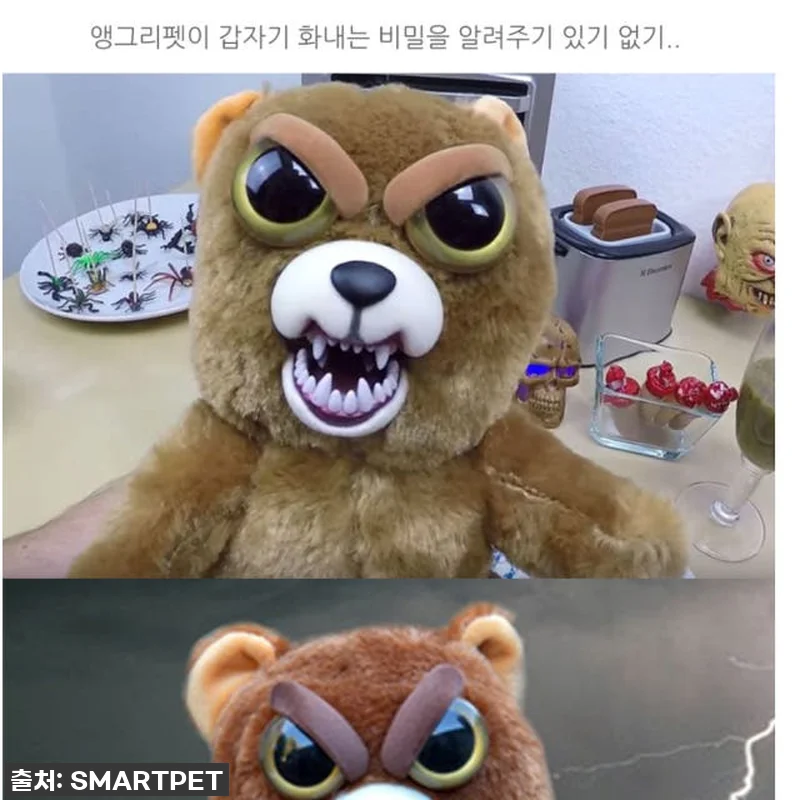 ✨ 품절임박! 유튜브 촬영 소품 찐 관련 이미지 3