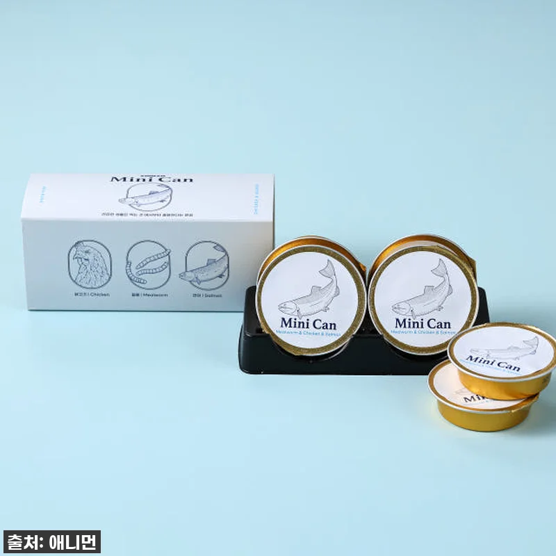 이슈템! 우리 집 까탈스러운 댕냥이도 관련 이미지 4