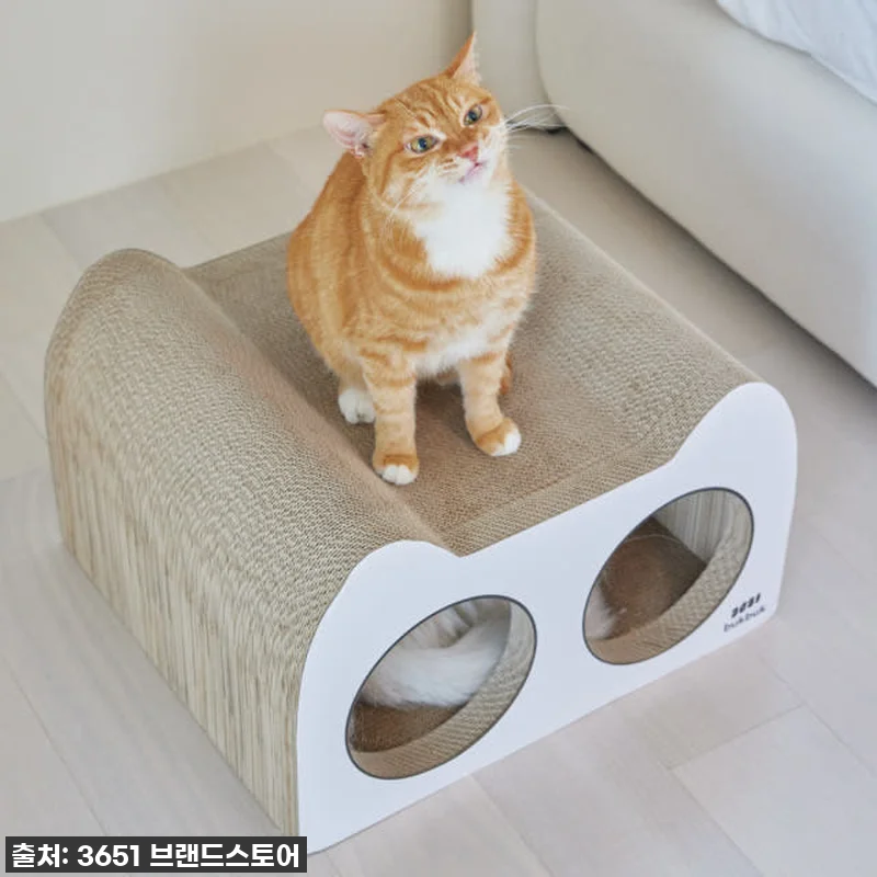 품절대란각! 냥이가 홀릭한 '3651 관련 이미지 5