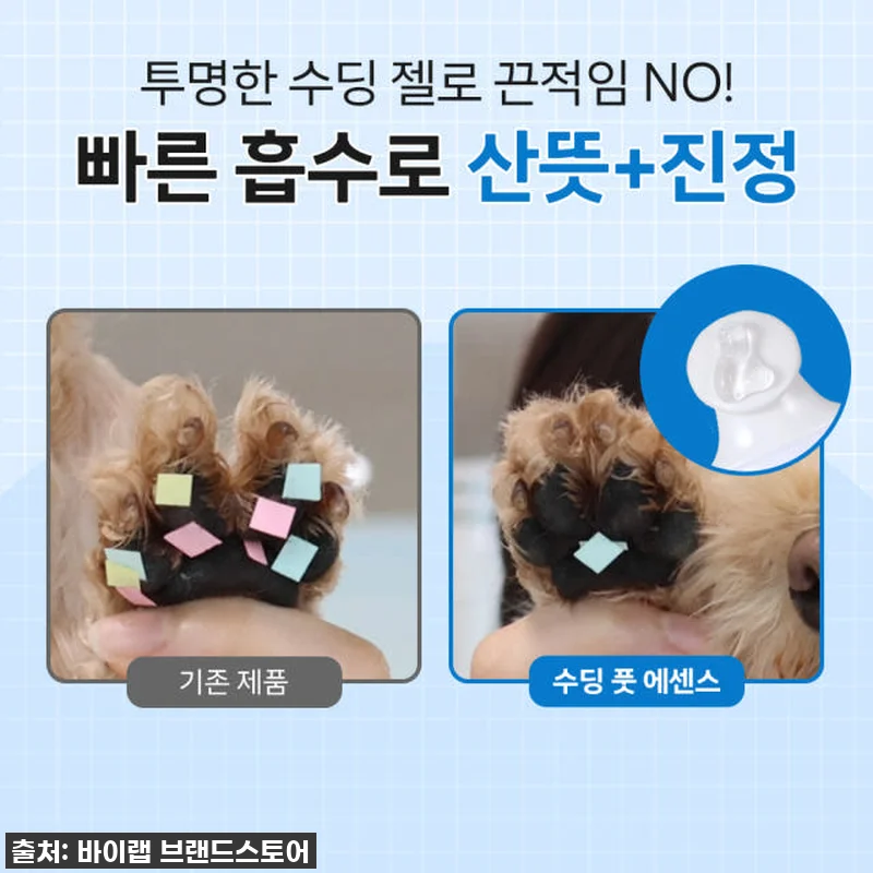 ✨ 품절임박! 우리 댕댕이 발바닥, 관련 이미지 5