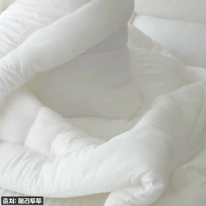 이슈템! 품절대란 '메리투투 모달 토 관련 이미지 6