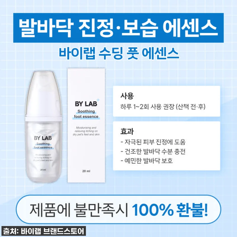✨ 품절임박! 우리 댕댕이 발바닥, 관련 이미지 7