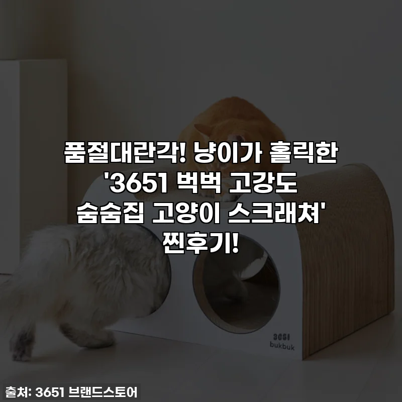품절대란각! 냥이가 홀릭한 '3651 벅벅 고강도 숨숨집 고양이 스크래쳐' 찐후기!