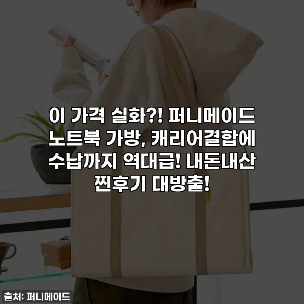 이 가격 실화?! 퍼니메이드 노트북 가방, 캐리어결합에 수납까지 역대급! 내돈내산 찐후기 대방출!