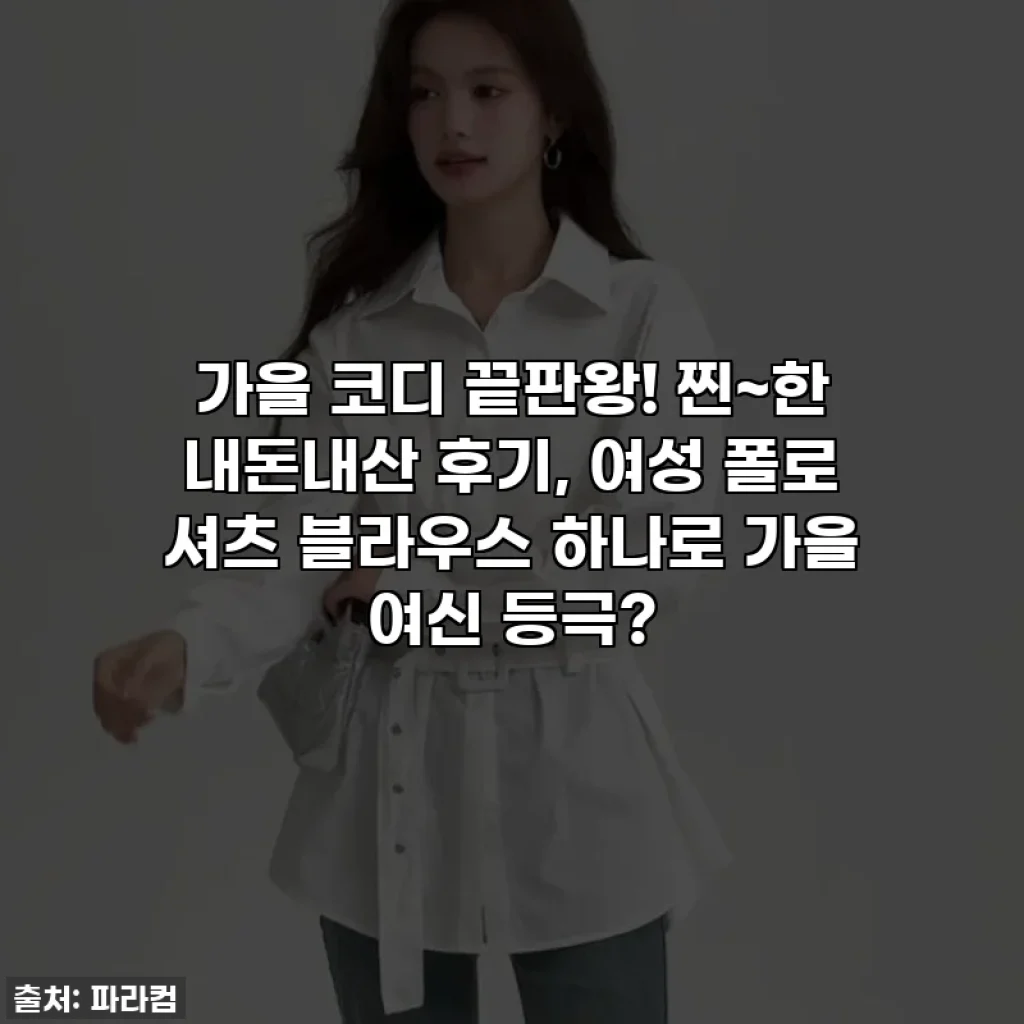 가을 코디 끝판왕! 찐~한 내돈내산 후기, 여성 폴로 셔츠 블라우스 하나로 가을 여신 등극?