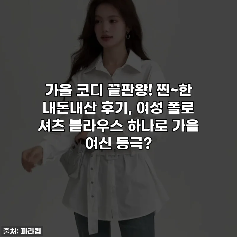 가을 코디 끝판왕! 찐~한 내돈내산 후기, 여성 폴로 셔츠 블라우스 하나로 가을 여신 등극?