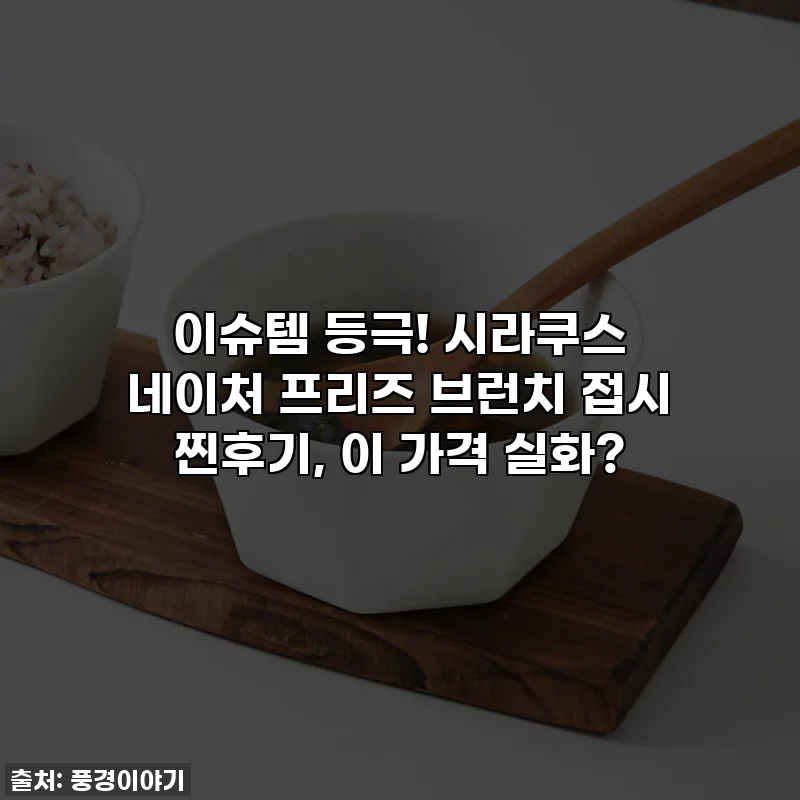 이슈템 등극! 시라쿠스 네이처 프리즈 브런치 접시 찐후기, 이 가격 실화?