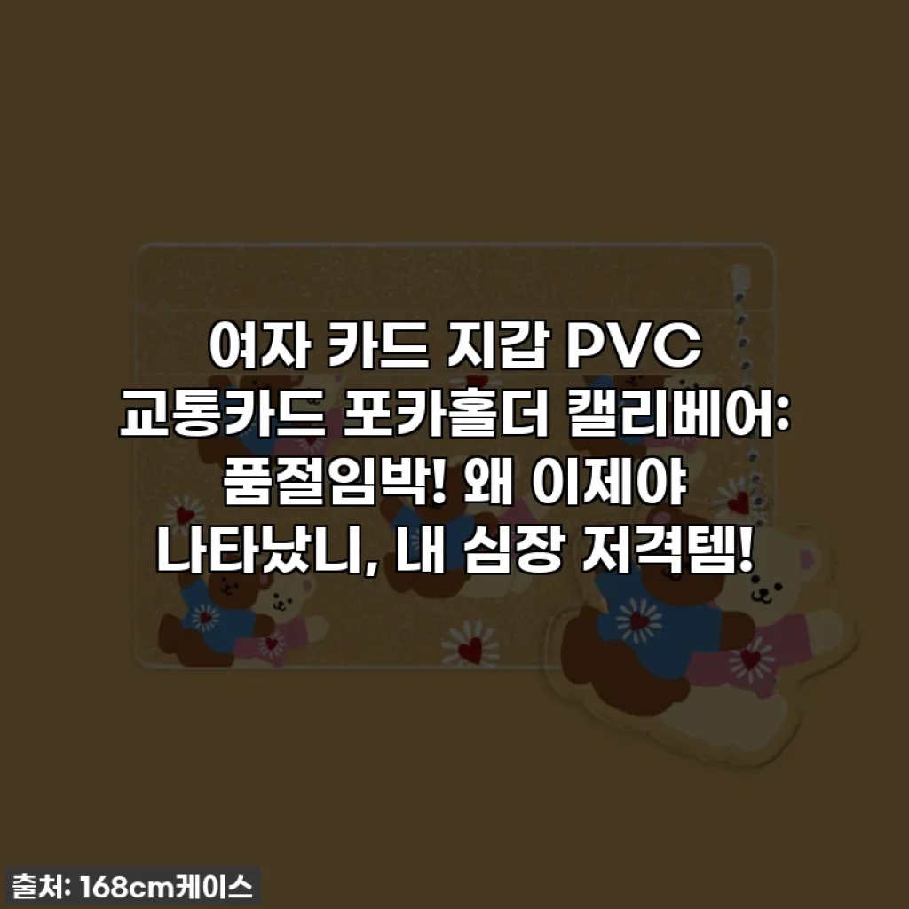 여자 카드 지갑 PVC 교통카드 포카홀더 캘리베어: 품절임박! 왜 이제야 나타났니, 내 심장 저격템!