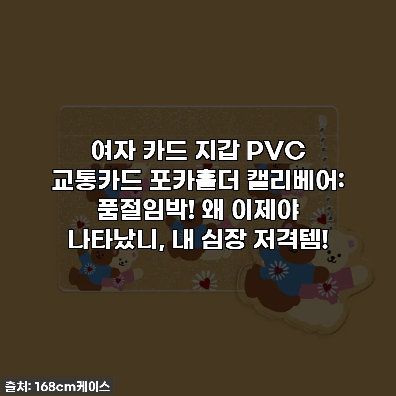 여자 카드 지갑 PVC 교통카드 포카홀더 캘리베어: 품절임박! 왜 이제야 나타났니, 내 심장 저격템!