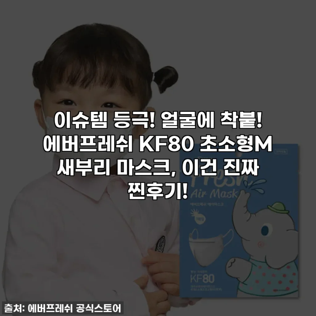 이슈템 등극! 얼굴에 착붙! 에버프레쉬 KF80 초소형M 새부리 마스크, 이건 진짜 찐후기!