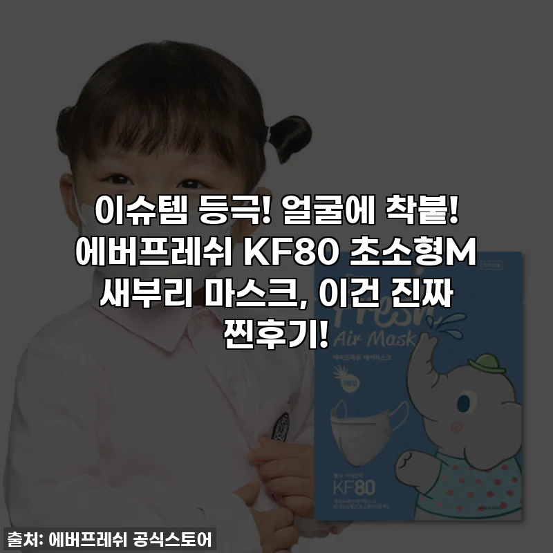 이슈템 등극! 얼굴에 착붙! 에버프레쉬 KF80 초소형M 새부리 마스크, 이건 진짜 찐후기!