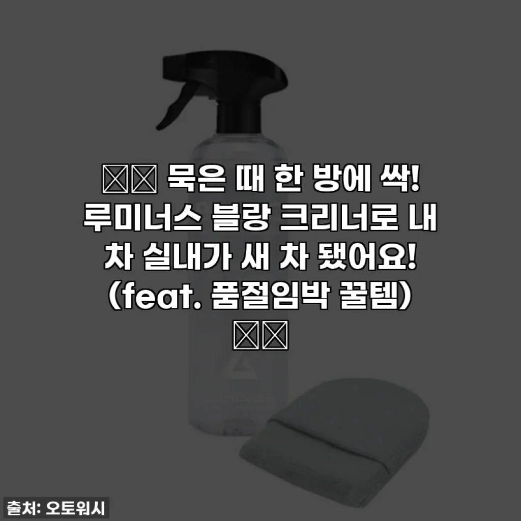 🚗✨ 묵은 때 한 방에 싹! 루미너스 블랑 크리너로 내 차 실내가 새 차 됐어요! (feat. 품절임박 꿀템) ✨🚗