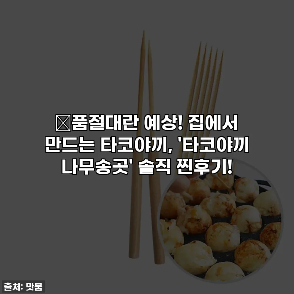 🔥품절대란 예상! 집에서 만드는 타코야끼, '타코야끼 나무송곳' 솔직 찐후기!
