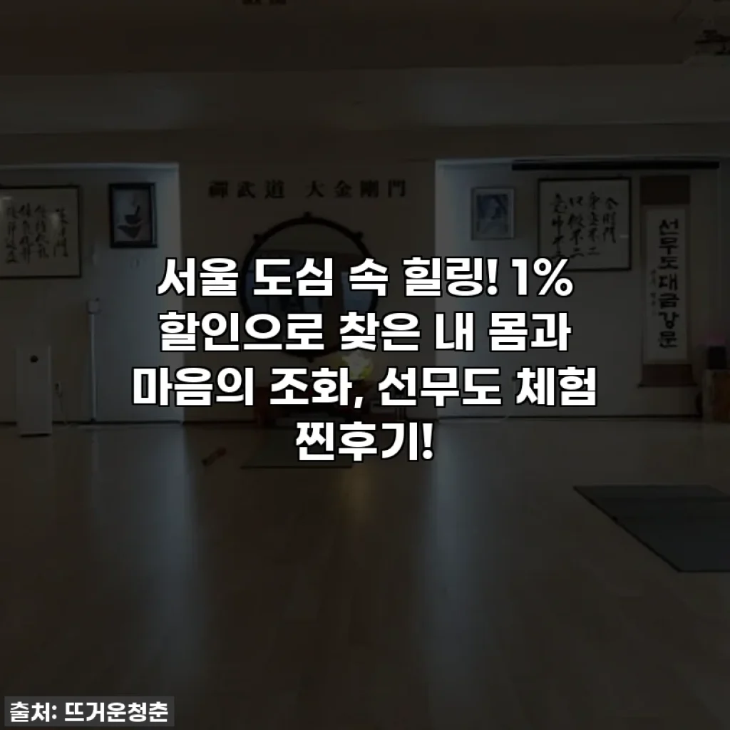 서울 도심 속 힐링! 1% 할인으로 찾은 내 몸과 마음의 조화, 선무도 체험 찐후기!