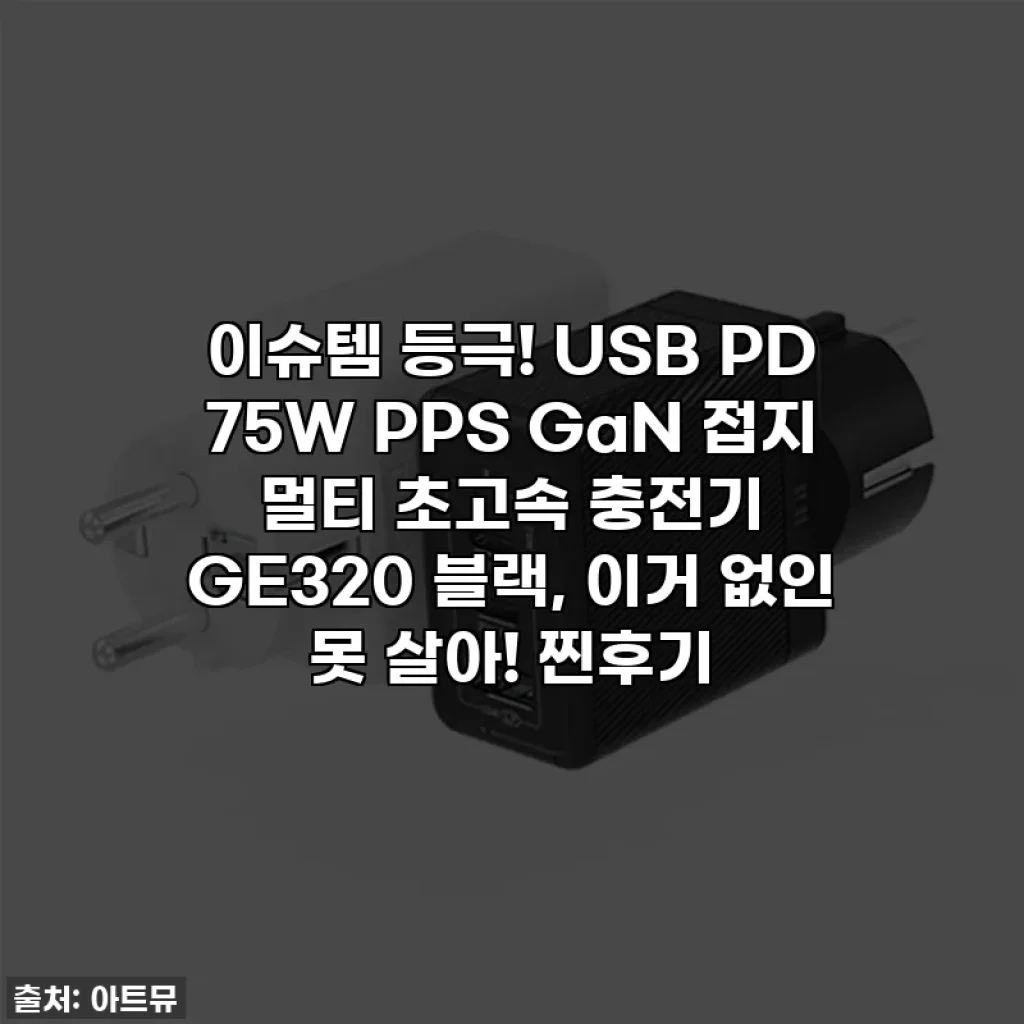 이슈템 등극! USB PD 75W PPS GaN 접지 멀티 초고속 충전기 GE320 블랙, 이거 없인 못 살아! 찐후기