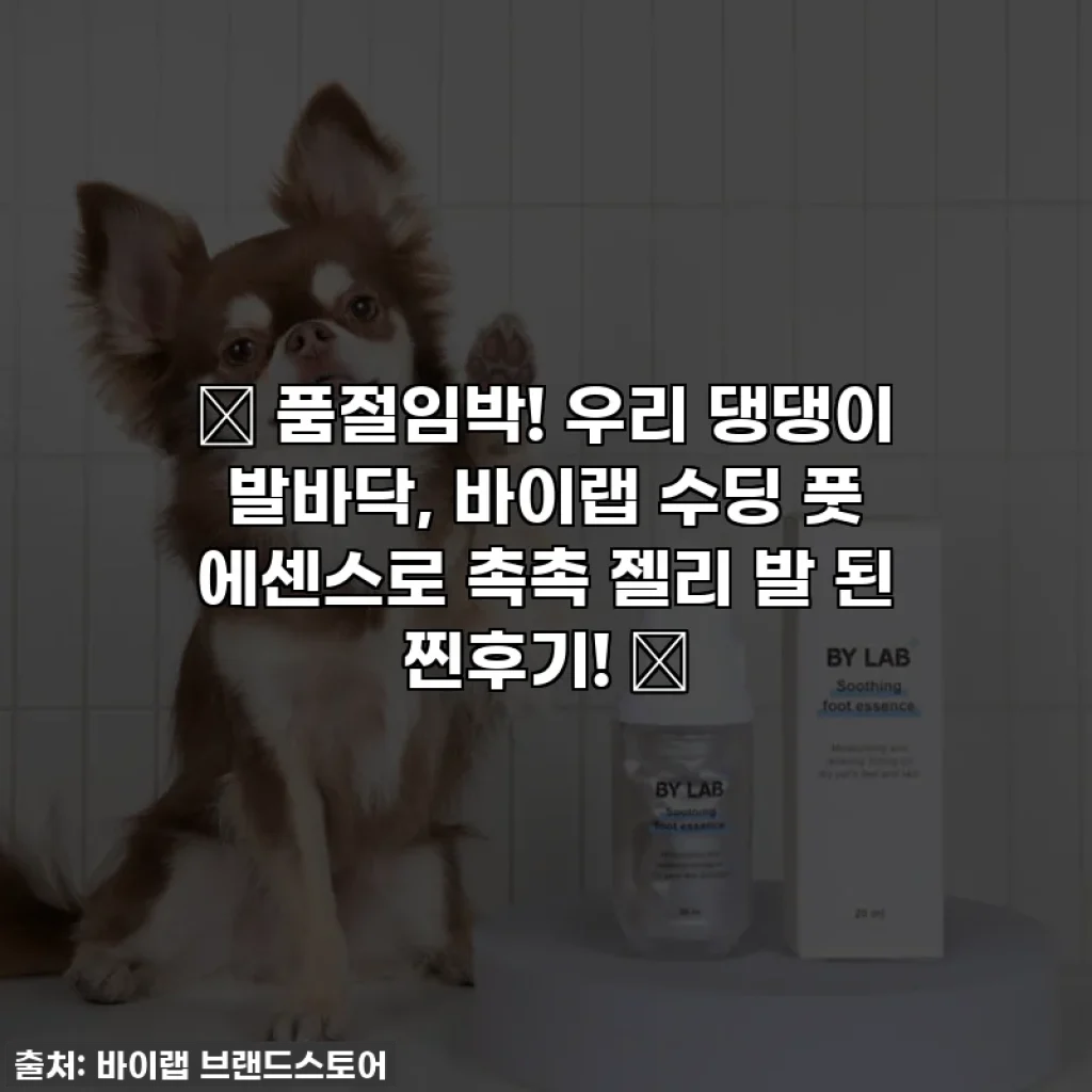 ✨ 품절임박! 우리 댕댕이 발바닥, 바이랩 수딩 풋 에센스로 촉촉 젤리 발 된 찐후기! 🐾