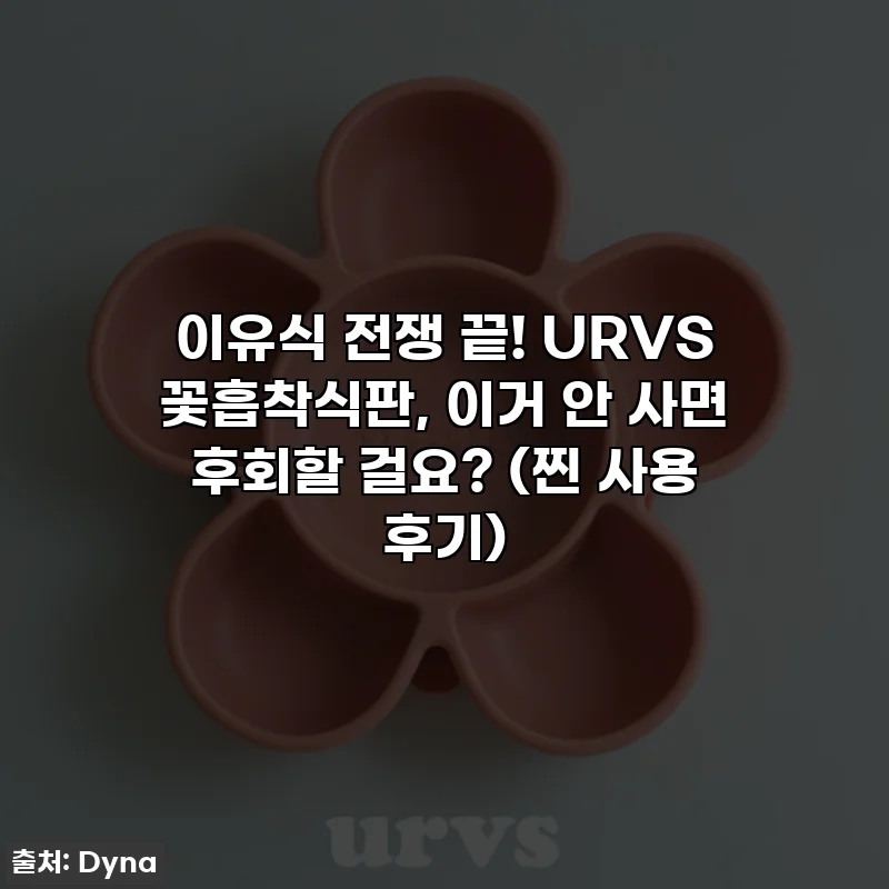 이유식 전쟁 끝! URVS 꽃흡착식판, 이거 안 사면 후회할 걸요? (찐 사용 후기)