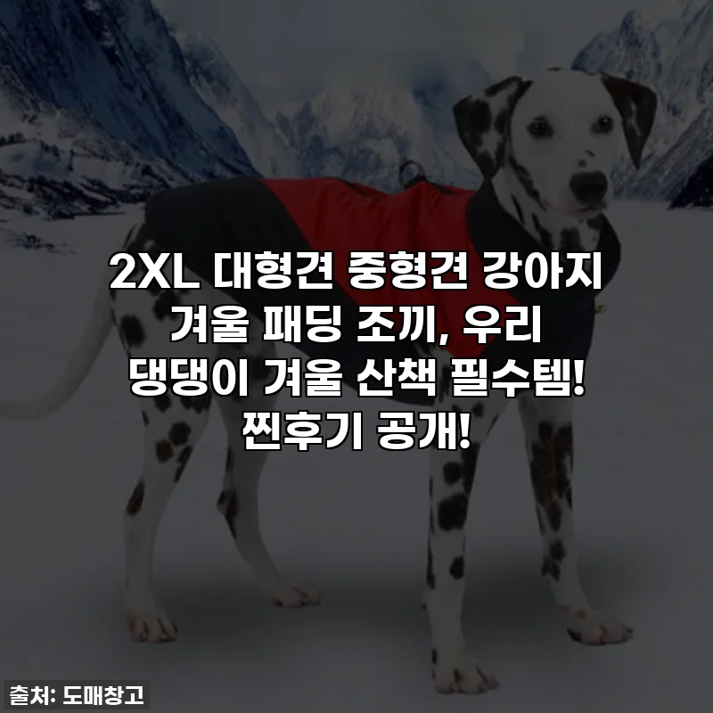 2XL 대형견 중형견 강아지 겨울 패딩 조끼, 우리 댕댕이 겨울 산책 필수템! 찐후기 공개!