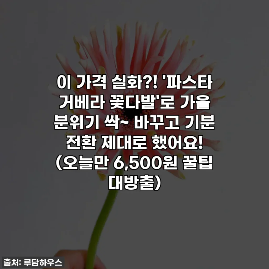이 가격 실화?! '파스타 거베라 꽃다발'로 가을 분위기 싹~ 바꾸고 기분 전환 제대로 했어요! (오늘만 6,500원 꿀팁 대방출)