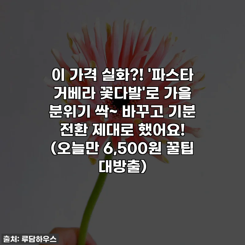 이 가격 실화?! '파스타 거베라 꽃다발'로 가을 분위기 싹~ 바꾸고 기분 전환 제대로 했어요! (오늘만 6,500원 꿀팁 대방출)