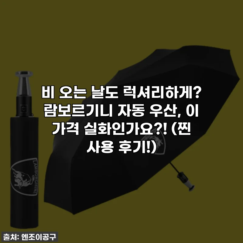 비 오는 날도 럭셔리하게? 람보르기니 자동 우산, 이 가격 실화인가요?! (찐 사용 후기!)