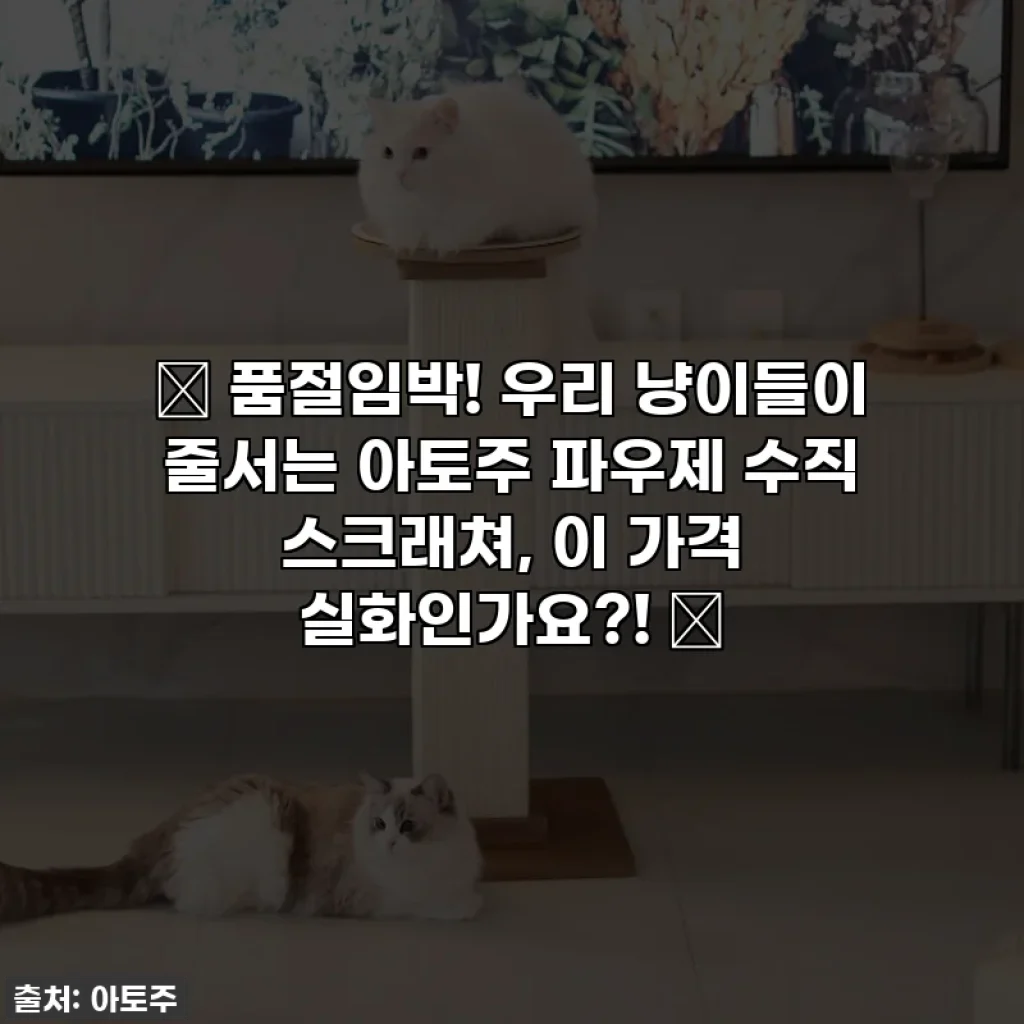 💖 품절임박! 우리 냥이들이 줄서는 아토주 파우제 수직 스크래쳐, 이 가격 실화인가요?! 😻