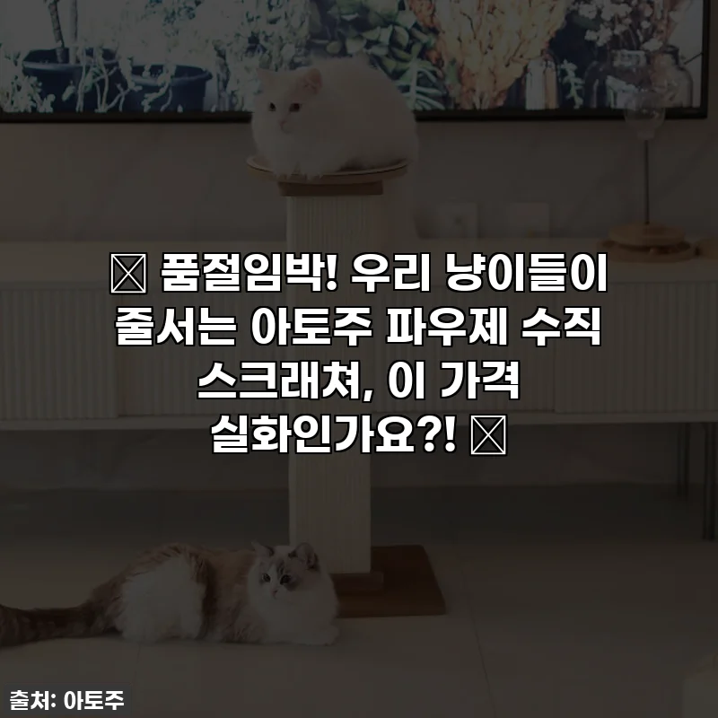 💖 품절임박! 우리 냥이들이 줄서는 아토주 파우제 수직 스크래쳐, 이 가격 실화인가요?! 😻