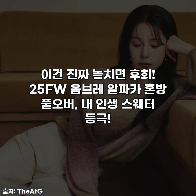 이건 진짜 놓치면 후회! 25FW 옴브레 알파카 혼방 풀오버, 내 인생 스웨터 등극!