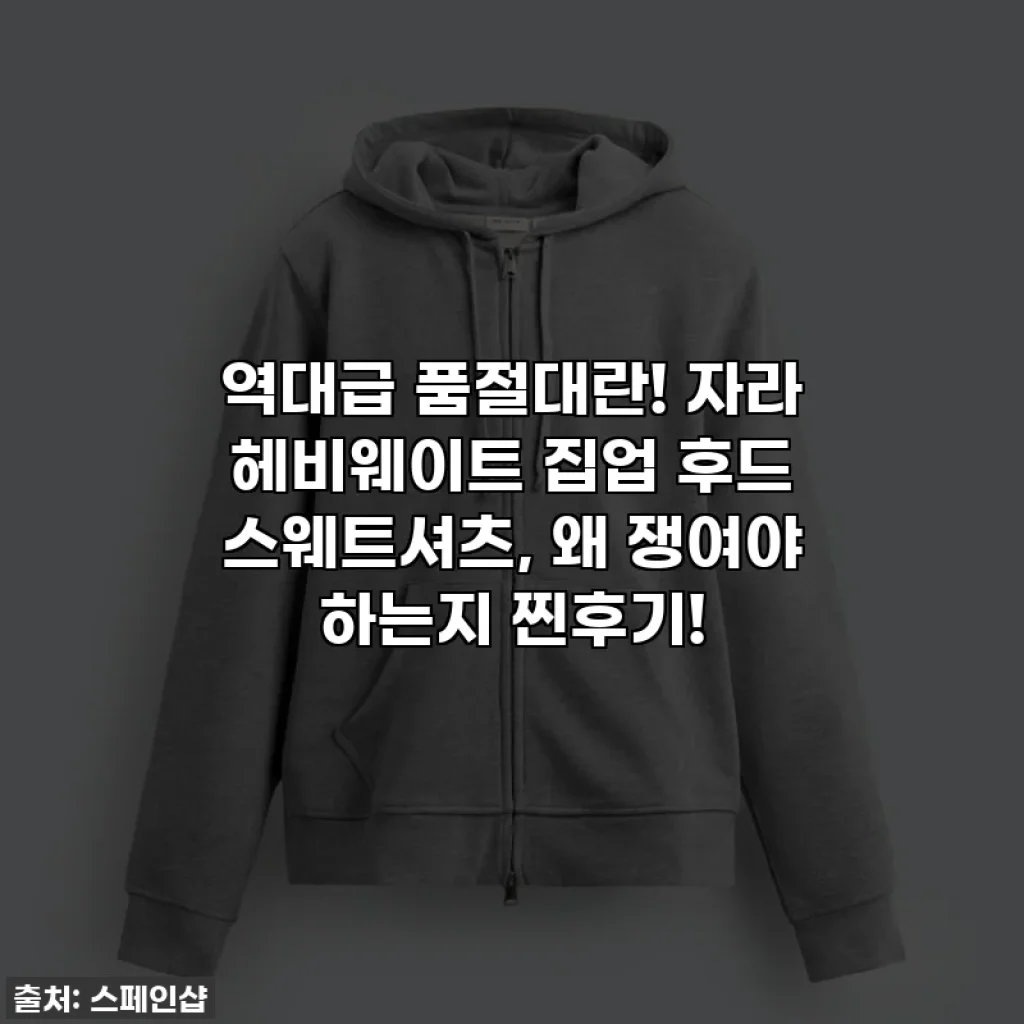 역대급 품절대란! 자라 헤비웨이트 집업 후드 스웨트셔츠, 왜 쟁여야 하는지 찐후기!