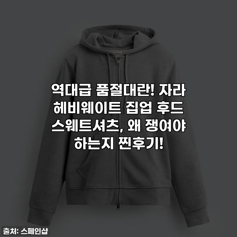 역대급 품절대란! 자라 헤비웨이트 집업 후드 스웨트셔츠, 왜 쟁여야 하는지 찐후기!
