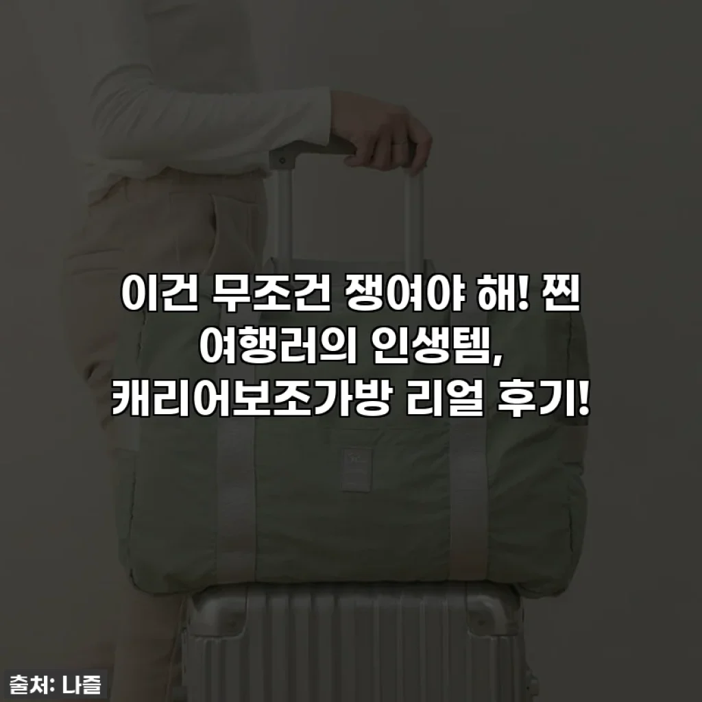 이건 무조건 쟁여야 해! 찐 여행러의 인생템, 캐리어보조가방 리얼 후기!