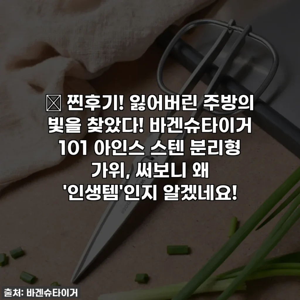 🔥 찐후기! 잃어버린 주방의 빛을 찾았다! 바겐슈타이거 101 아인스 스텐 분리형 가위, 써보니 왜 '인생템'인지 알겠네요!