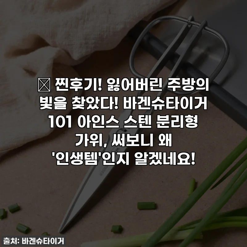 🔥 찐후기! 잃어버린 주방의 빛을 찾았다! 바겐슈타이거 101 아인스 스텐 분리형 가위, 써보니 왜 '인생템'인지 알겠네요!