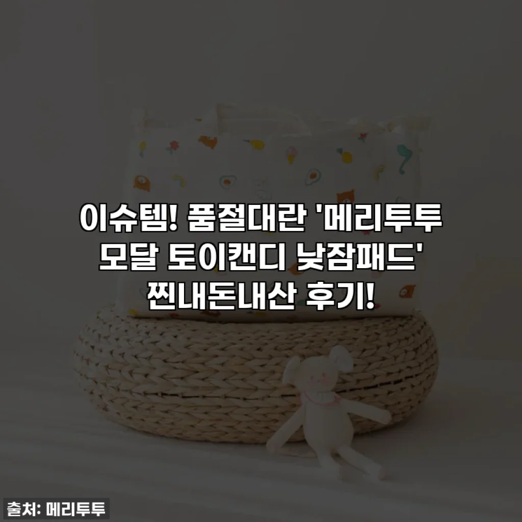 이슈템! 품절대란 '메리투투 모달 토이캔디 낮잠패드' 찐내돈내산 후기!