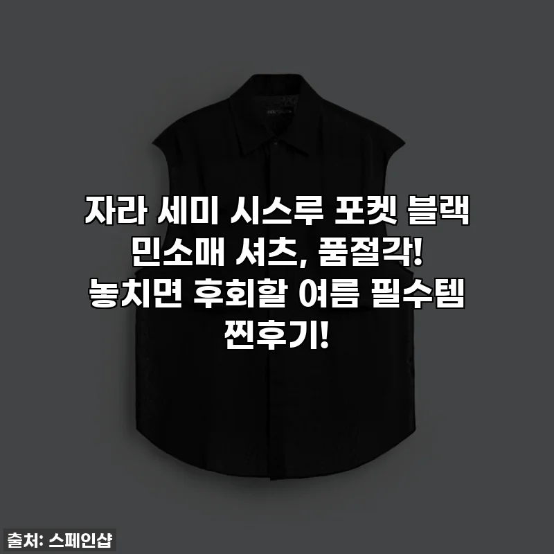 자라 세미 시스루 포켓 블랙 민소매 셔츠, 품절각! 놓치면 후회할 여름 필수템 찐후기!