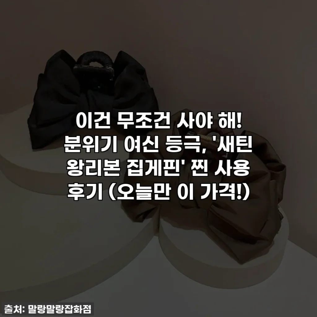 이건 무조건 사야 해! 분위기 여신 등극, '새틴 왕리본 집게핀' 찐 사용 후기 (오늘만 이 가격!)