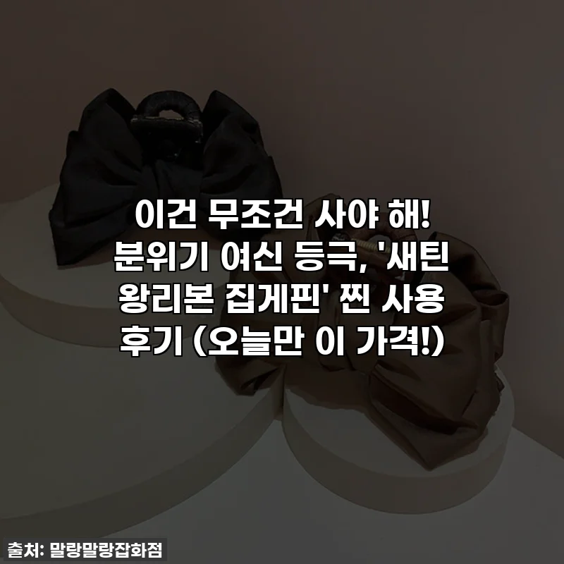 이건 무조건 사야 해! 분위기 여신 등극, '새틴 왕리본 집게핀' 찐 사용 후기 (오늘만 이 가격!)