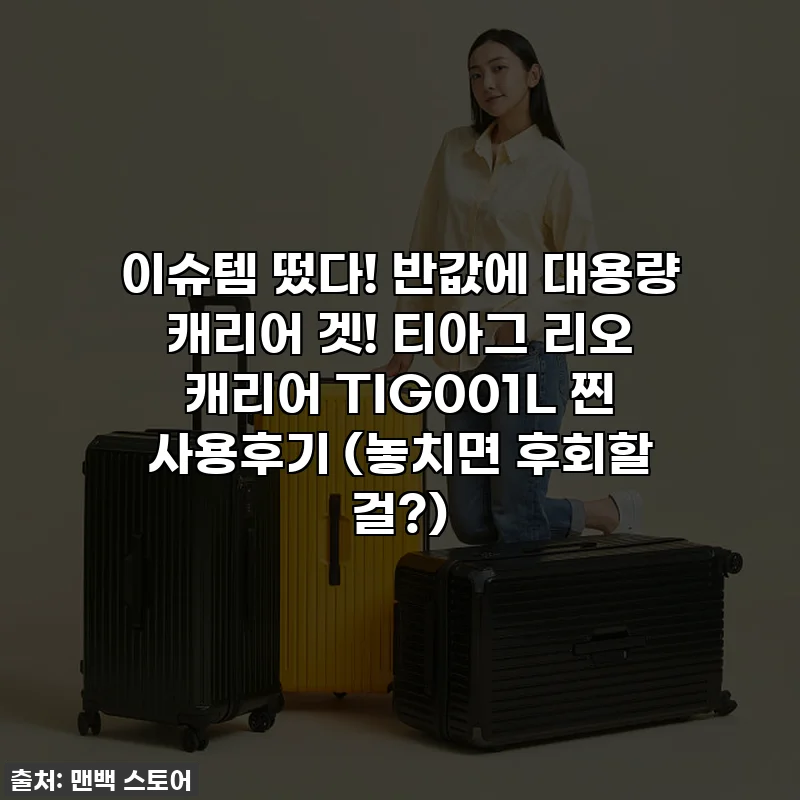 이슈템 떴다! 반값에 대용량 캐리어 겟! 티아그 리오 캐리어 TIG001L 찐 사용후기 (놓치면 후회할 걸?)