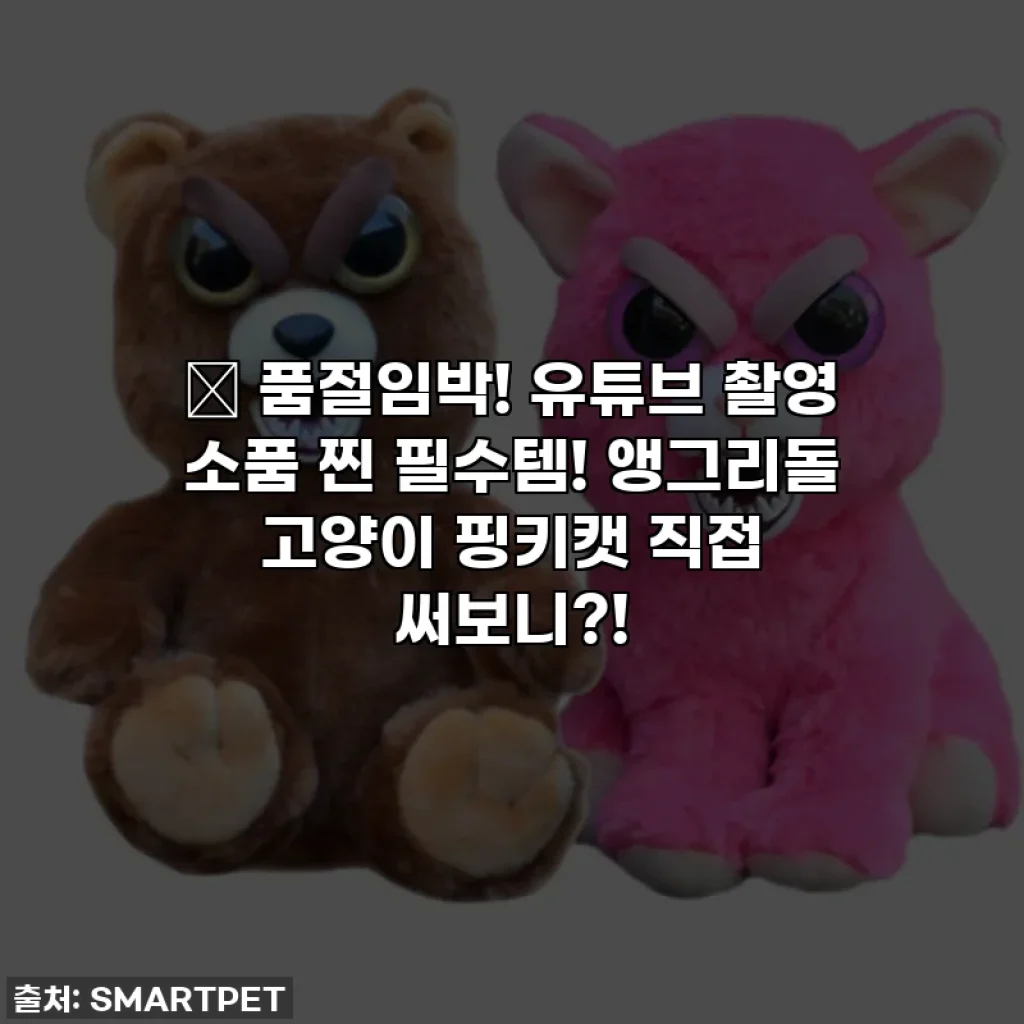 ✨ 품절임박! 유튜브 촬영 소품 찐 필수템! 앵그리돌 고양이 핑키캣 직접 써보니?!