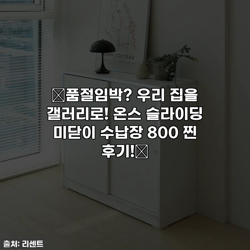 🚨품절임박? 우리 집을 갤러리로! 온스 슬라이딩 미닫이 수납장 800 찐 후기!🚨