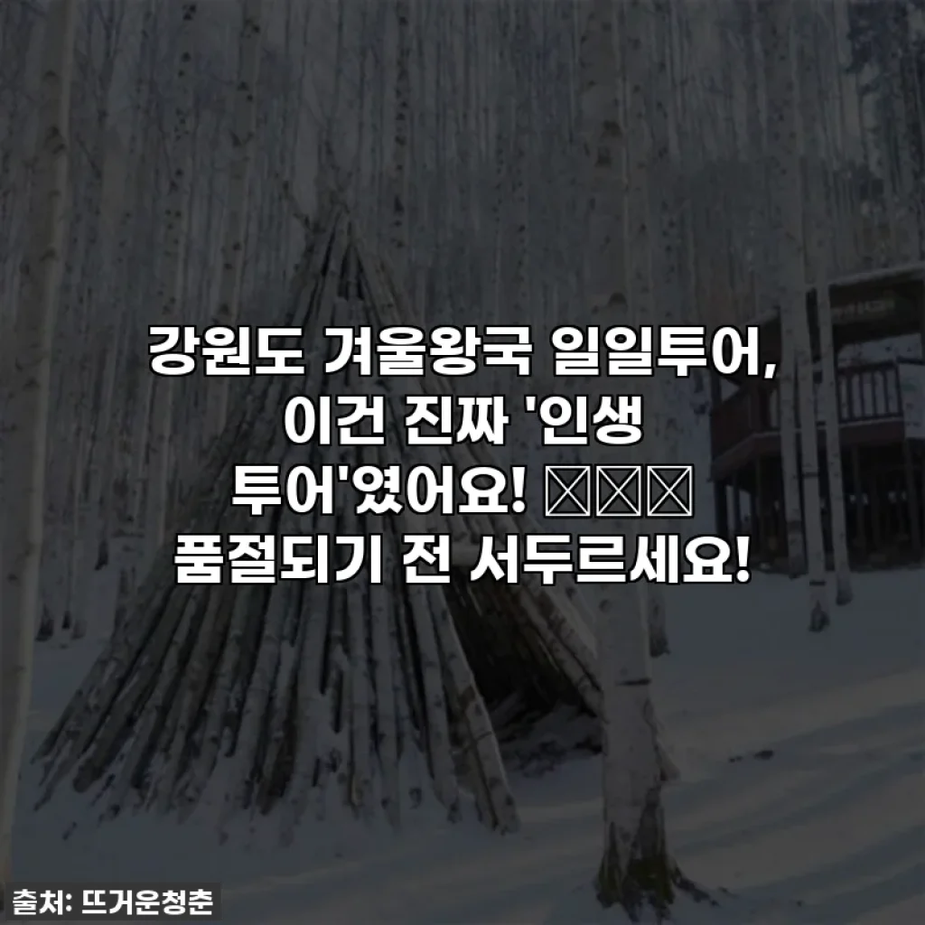 강원도 겨울왕국 일일투어, 이건 진짜 '인생 투어'였어요! 🏔️✨ 품절되기 전 서두르세요!