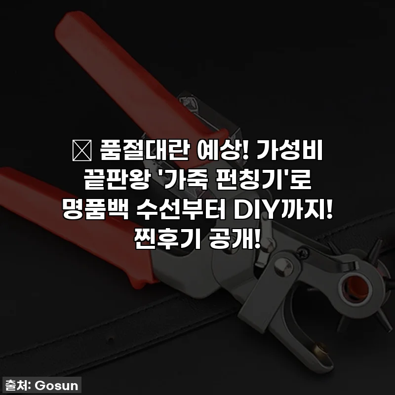 🔥 품절대란 예상! 가성비 끝판왕 '가죽 펀칭기'로 명품백 수선부터 DIY까지! 찐후기 공개!