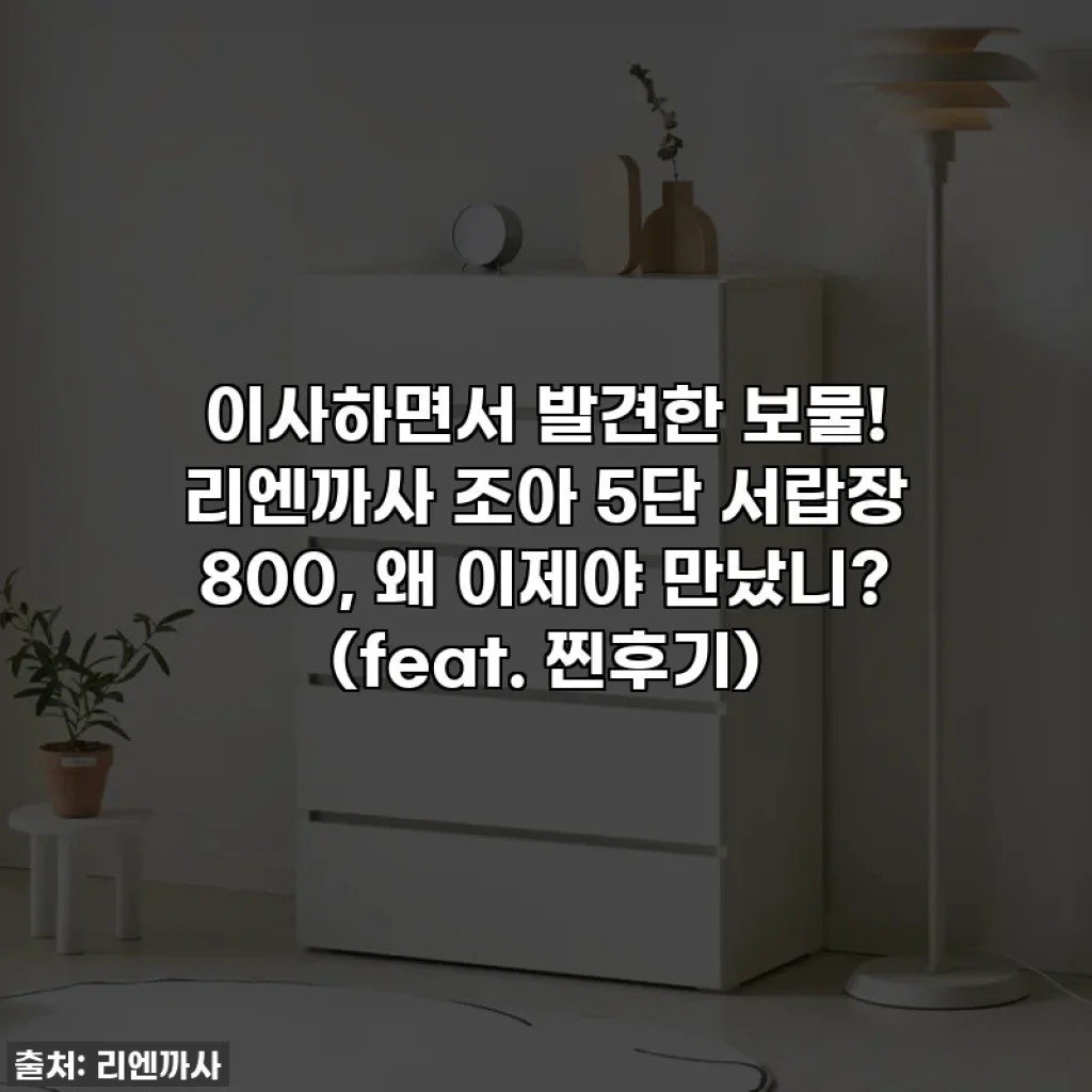 이사하면서 발견한 보물! 리엔까사 조아 5단 서랍장 800, 왜 이제야 만났니? (feat. 찐후기)