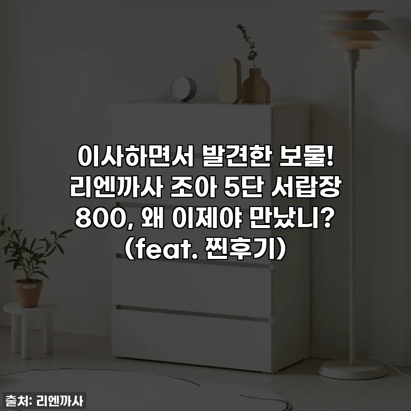 이사하면서 발견한 보물! 리엔까사 조아 5단 서랍장 800, 왜 이제야 만났니? (feat. 찐후기)