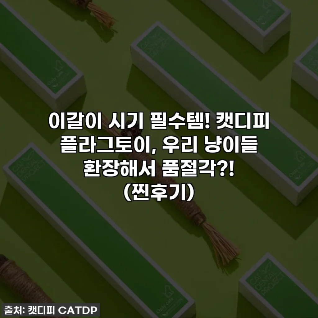 이갈이 시기 필수템! 캣디피 플라그토이, 우리 냥이들 환장해서 품절각?! (찐후기)