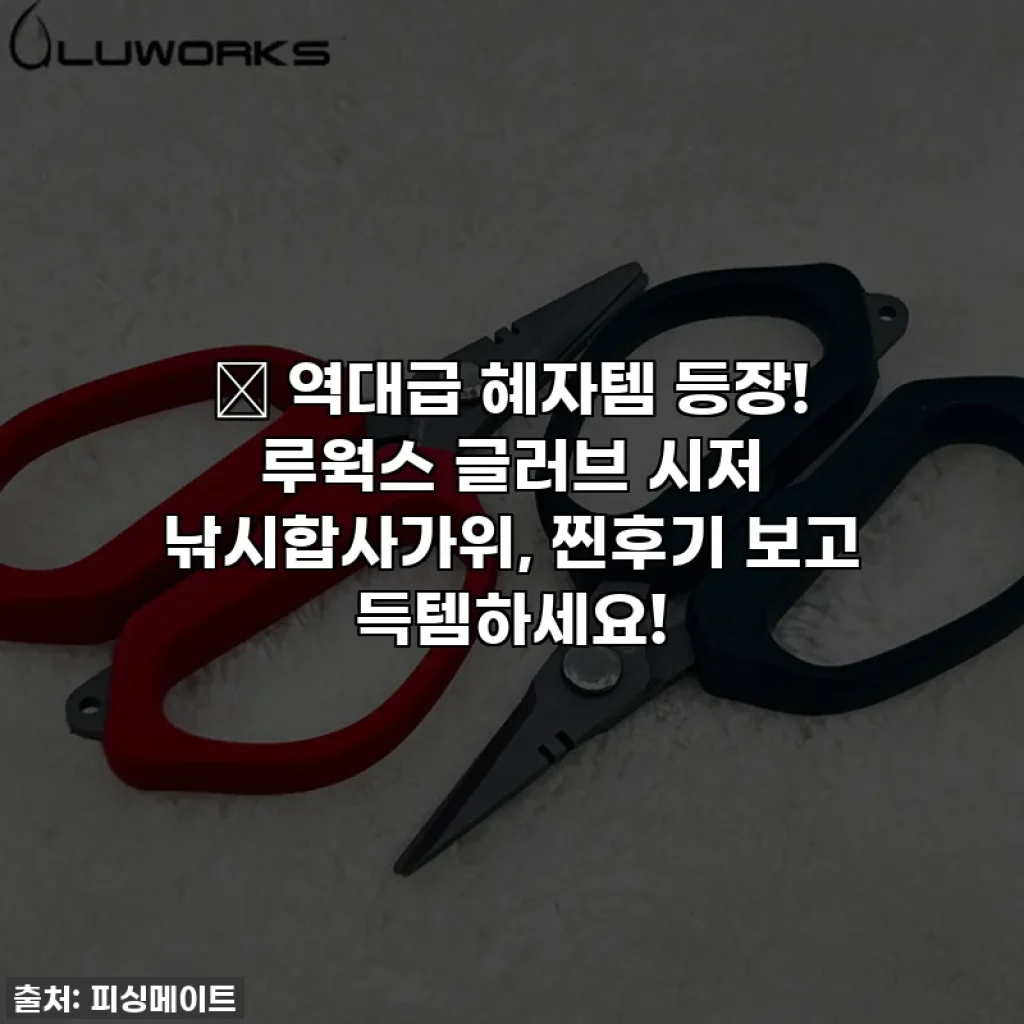 🎣 역대급 혜자템 등장! 루웍스 글러브 시저 낚시합사가위, 찐후기 보고 득템하세요!