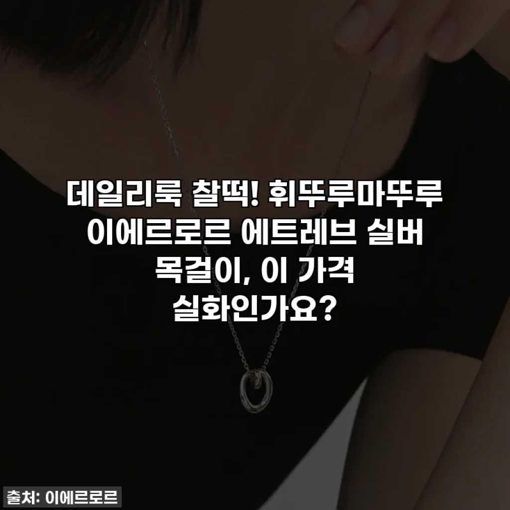 데일리룩 찰떡! 휘뚜루마뚜루 이에르로르 에트레브 실버 목걸이, 이 가격 실화인가요?