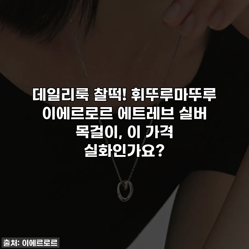 데일리룩 찰떡! 휘뚜루마뚜루 이에르로르 에트레브 실버 목걸이, 이 가격 실화인가요?